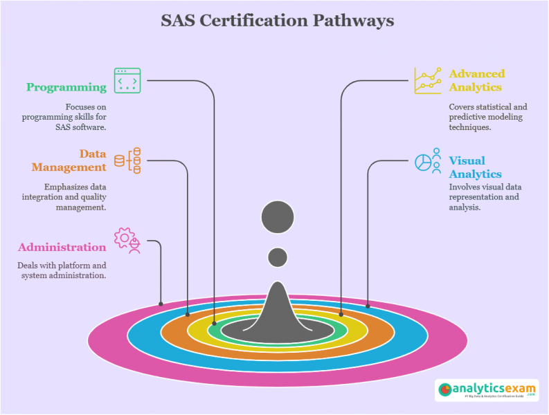 SAS Certification Pathways infographic illustrating five main certification categories.