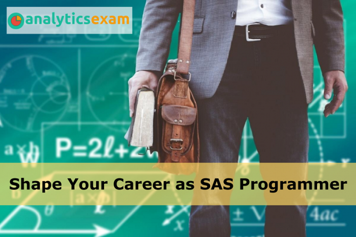 How To Become A Sas Programmer And Earn A Handsome Salary Analyticsexam